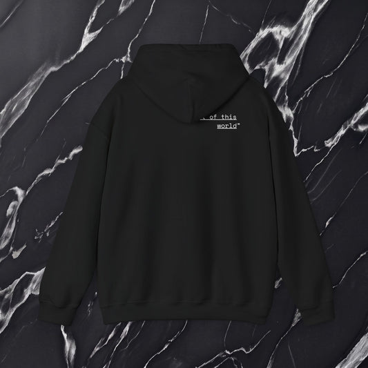 Minimalist Black Hole Hoddie | "out of this world"